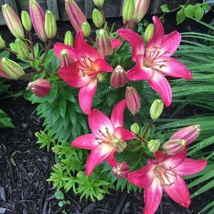 Meet your Posher, Sandra